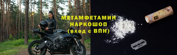 прущие грибы Покачи