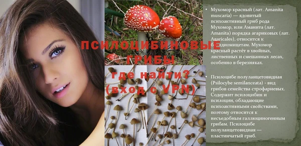 apvp Баксан
